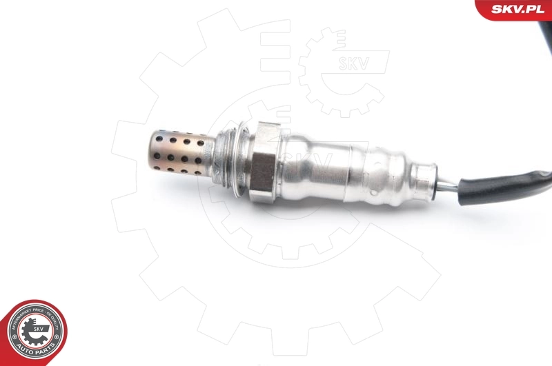 Oxygen Sensor